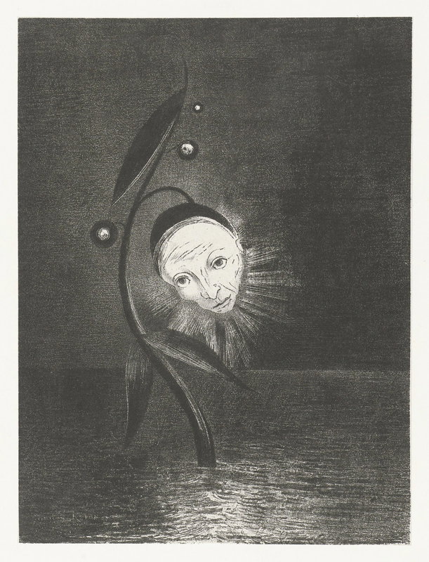 Black and white illustration of a plant rising out of the ocean with two leaves at the bottom. The next leaf becomes a disproportionate human head with an enlarged forehead and a curious expression.  